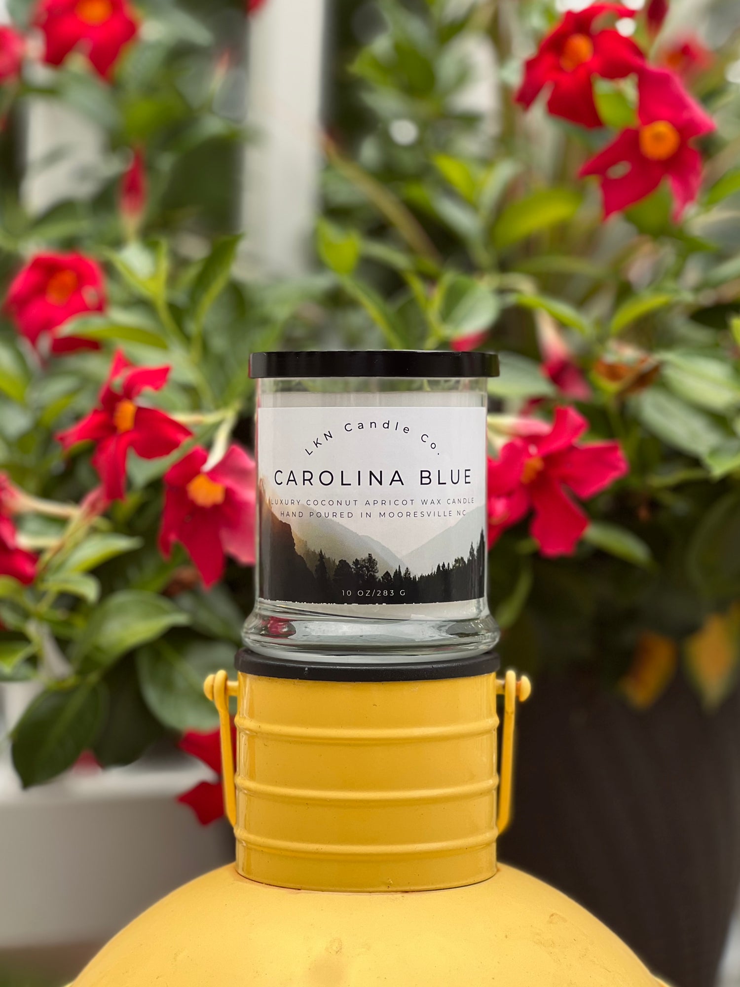 SALE - Spring & Summer Collection