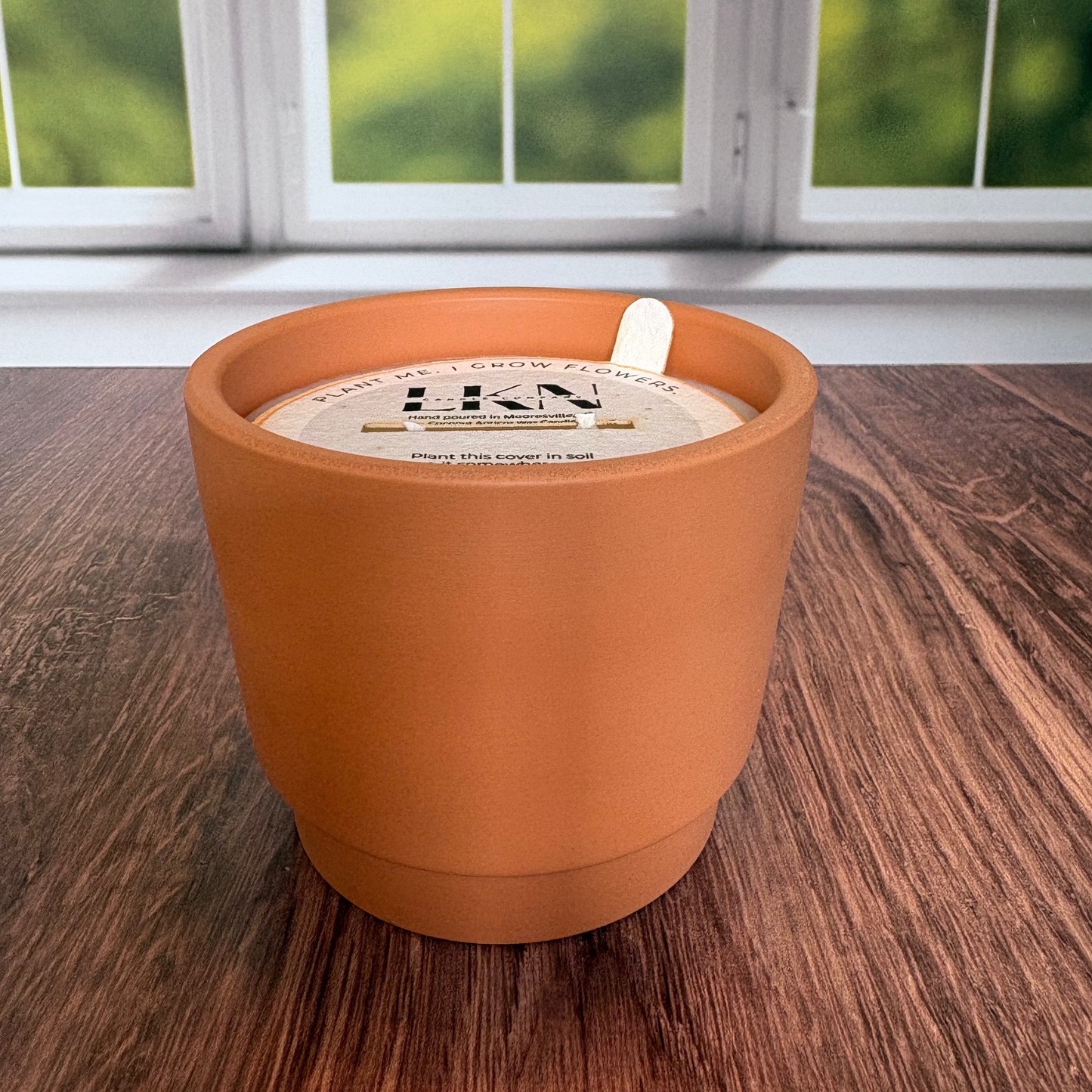Wild Honeysuckle 12 oz Terracotta Pot